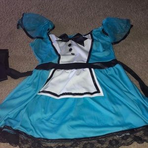 Alice in Wonderland Plus Size Halloween Costume